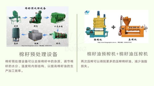 成套棉籽油生產加工設備 大中小型棉籽油生產加工設備 廠家供應