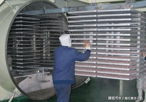 食品真空冷凍干燥機設備用途,技術原理
