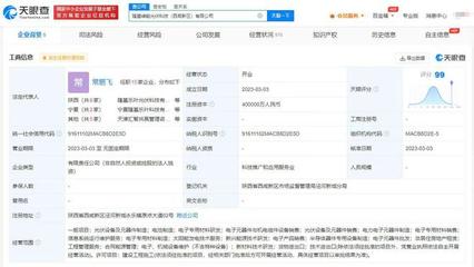 隆基綠能在西咸新區成立光伏公司 注冊資本40億