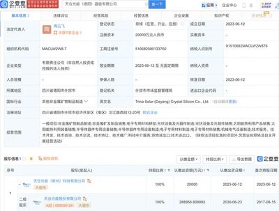 天合光能2億元投資新設晶硅公司