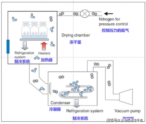 藥品凍干機工作原理及凍干設備價格